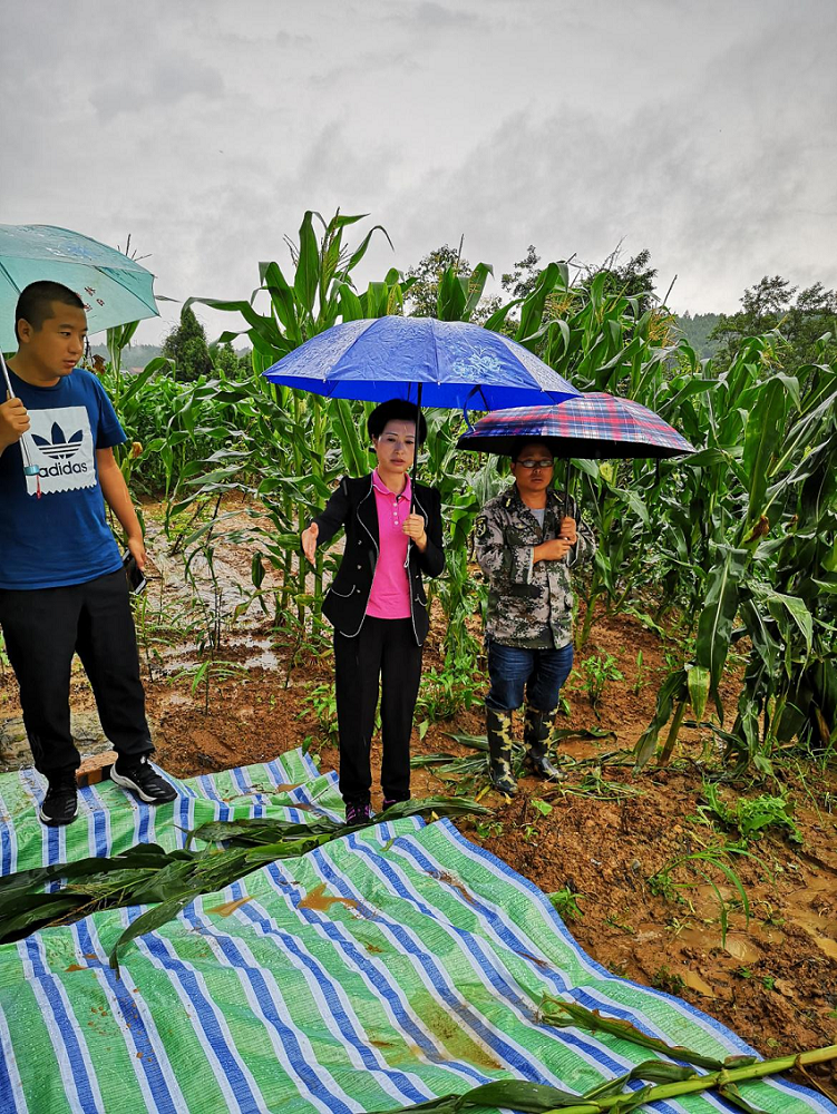 04 農(nóng)工黨劍閣縣總支主委、劍閣縣政協(xié)副主席周清秀（中）帶領(lǐng)農(nóng)工黨劍閣縣總支一行赴掛聯(lián)鄉(xiāng)鎮(zhèn)柏埡鄉(xiāng)指導(dǎo)抗洪搶險工作.png