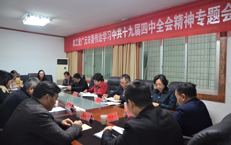 800農工黨廣元市委傳達學習中共十九屆四中全會精神.jpg