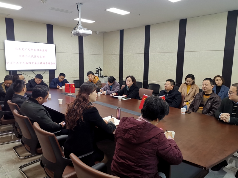 800 農(nóng)工黨廣元市委直屬司法支部、市第二人民醫(yī)院支部召開(kāi)學(xué)習(xí)中共十九屆四中全會(huì)精神專(zhuān)題會(huì).jpg