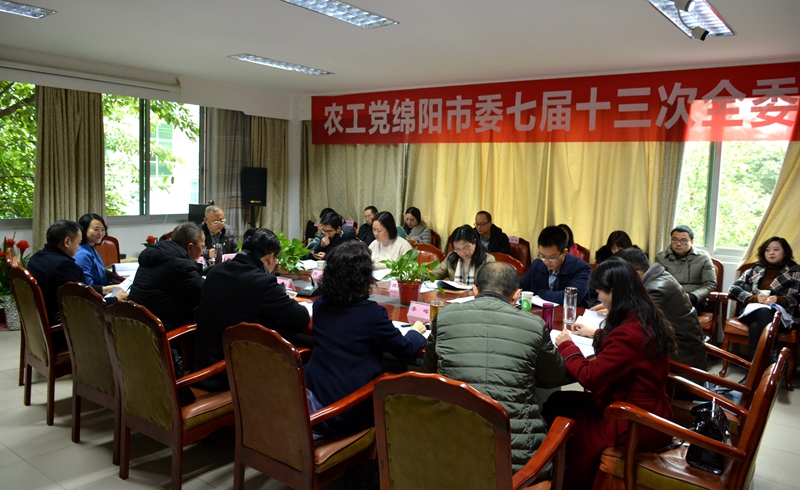 農(nóng)工黨綿陽市委召開七屆十三次全委（擴(kuò)大）會800.jpg