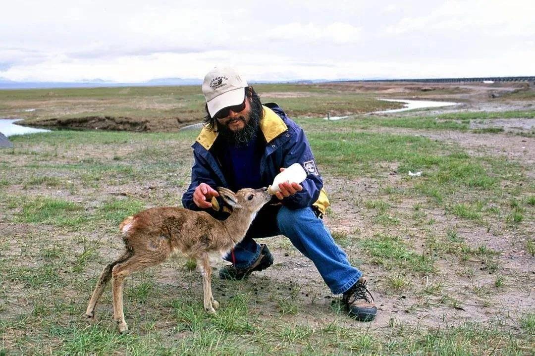 楊欣老師為可可西里生態(tài)環(huán)境保護做了大量工作.jpg